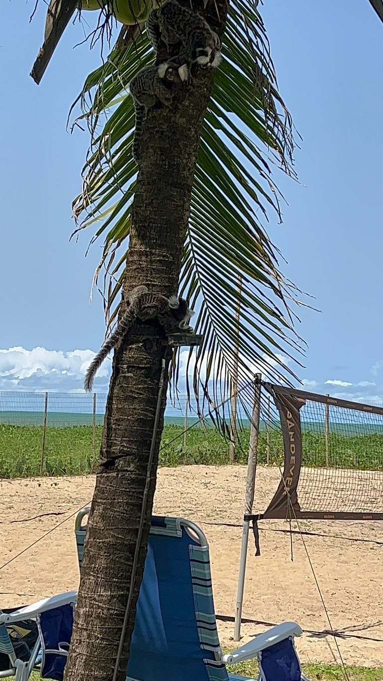 Casa beira mar - Carneiros (30’ de carro)