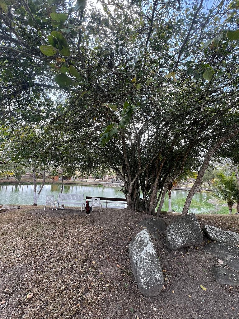 Casa de luxo em Gravatá