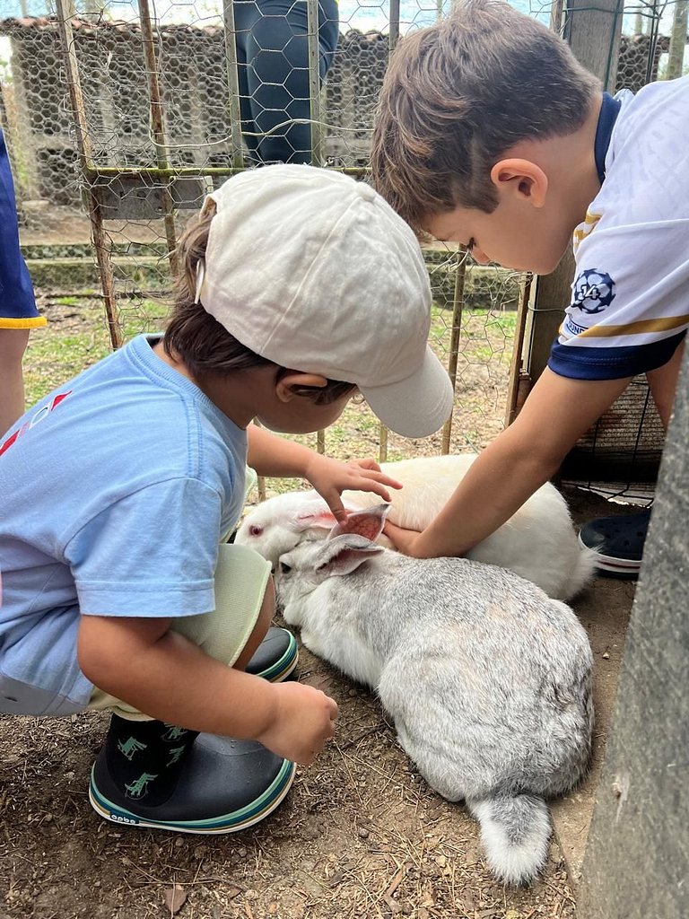 Casa de luxo em Gravatá