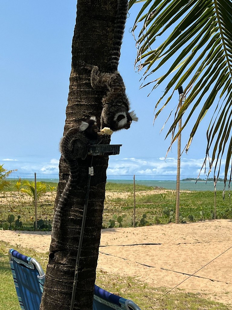 Casa de Luxo Beira Mar - Carneiros (30’ de Carro)